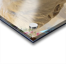 20230817 165055 Acrylic print