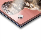 20241021 172028 Acrylic print