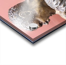 20241021 172038 Acrylic print