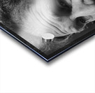 20230720 191455 Acrylic print