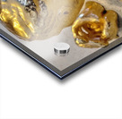 20231031 121613 Acrylic print