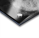 20230720 192314 Acrylic print