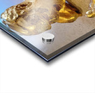 20231031 121540 Acrylic print