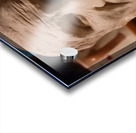 20220717 044636 Acrylic print