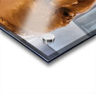 20220429 103141 Acrylic print