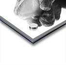 PSX 20241207 113142 Acrylic print