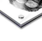 PSX 20241212 173545 Acrylic print