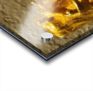 20240203 221318 Acrylic print