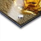 20240203 221442 Acrylic print