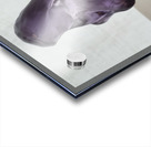 20250416 163633 Acrylic print