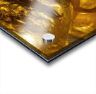 20240203 221751 Acrylic print