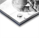 PSX 20250621 082755 Acrylic print