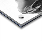 PSX 20250620 164025 Acrylic print