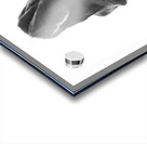 PSX 20250330 141753 Acrylic print