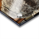 20220227 052623 Acrylic print