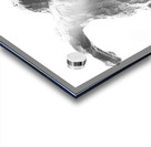 PSX 20250622 091714 Acrylic print