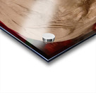 20220717 044805 2 Acrylic print