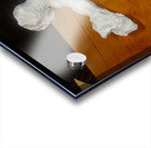 .facebook 1425274391286 Acrylic print