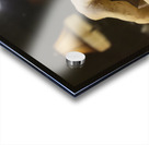 20231005 024107 Acrylic print