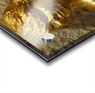 20240203 221532 Acrylic print