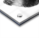 PSX 20250619 182237 Acrylic print