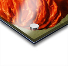 20221016 211024 Acrylic print