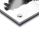 PSX 20250626 002506 Acrylic print