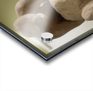 20231015 053026 Acrylic print