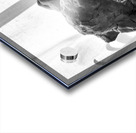 PSX 20250621 083116 Acrylic print