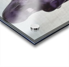 20250416 164044 Acrylic print