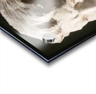 20220803 190543 Acrylic print