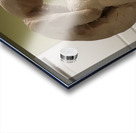 20231015 053139 Acrylic print