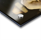 20231005 024115 Acrylic print