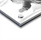 PSX 20250720 234710 Acrylic print