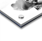 PSX 20250729 154506 Acrylic print