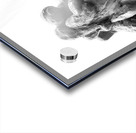 PSX 20250729 160021 Acrylic print