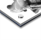 PSX 20250729 154346 Acrylic print