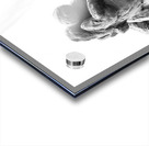 PSX 20250729 160222 Acrylic print