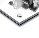 PSX 20250729 155901 Acrylic print