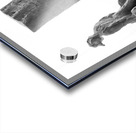 PSX 20250802 175952 Acrylic print