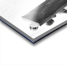 PSX 20250802 180509 Acrylic print