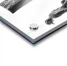 PSX 20250802 182135 Acrylic print