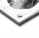 PSX 20250825 121230 Acrylic print