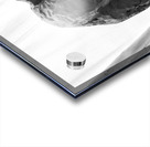 PSX 20250825 120315 Acrylic print