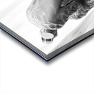 PSX 20250825 120040 Acrylic print