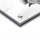 PSX 20250816 122209 Acrylic print