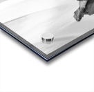 20250917 010606 2 Acrylic print