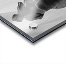 Fools Leap --- 20250915 232258 2 Acrylic print