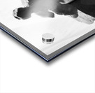 Fools Leap --- 20250915 232227 2 Acrylic print