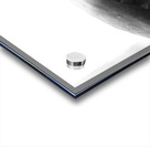 Beloved Companion 2 - 2 Acrylic print